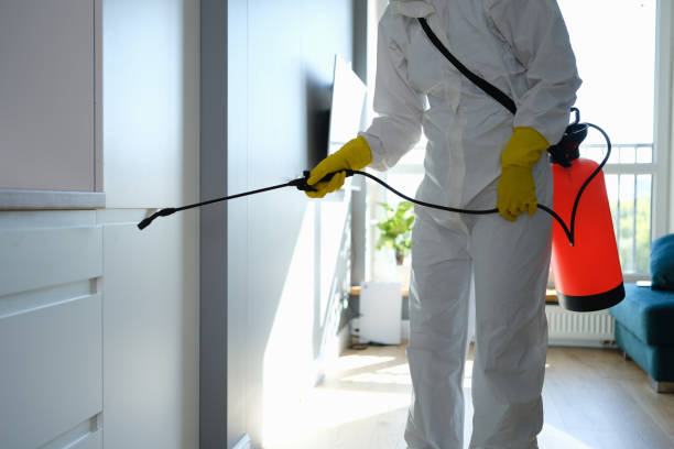 Mold Odor Removal Services in New Lisbon, WI