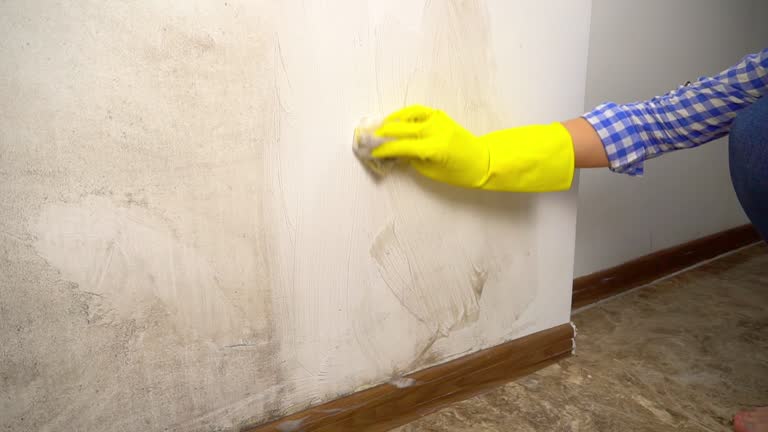 Best Biohazard Mold Removal  in New Lisbon, WI